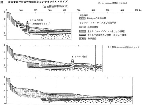 コンチネンタル・ライズ