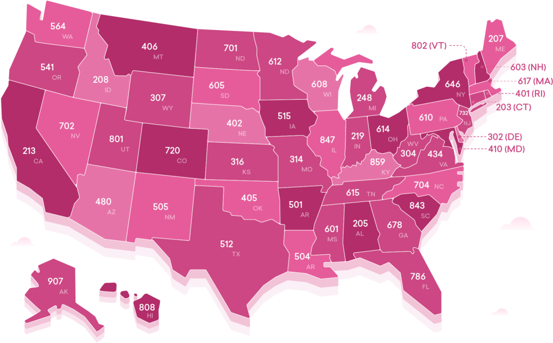 Phone Area Codes In The United States Map Phone Area Codes Cartography ...