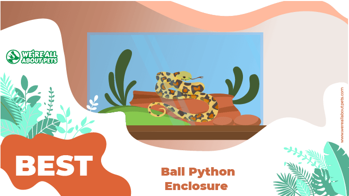 python enclosure