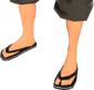 Painted Flip-Flops 141414.png