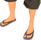 Painted Flip-Flops 483838.png