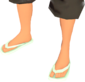 Painted Flip-Flops BCDDB3.png