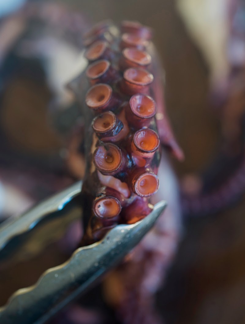 Marsala Braised Octopus with Crispy Capers - WILD GREENS & SARDINES