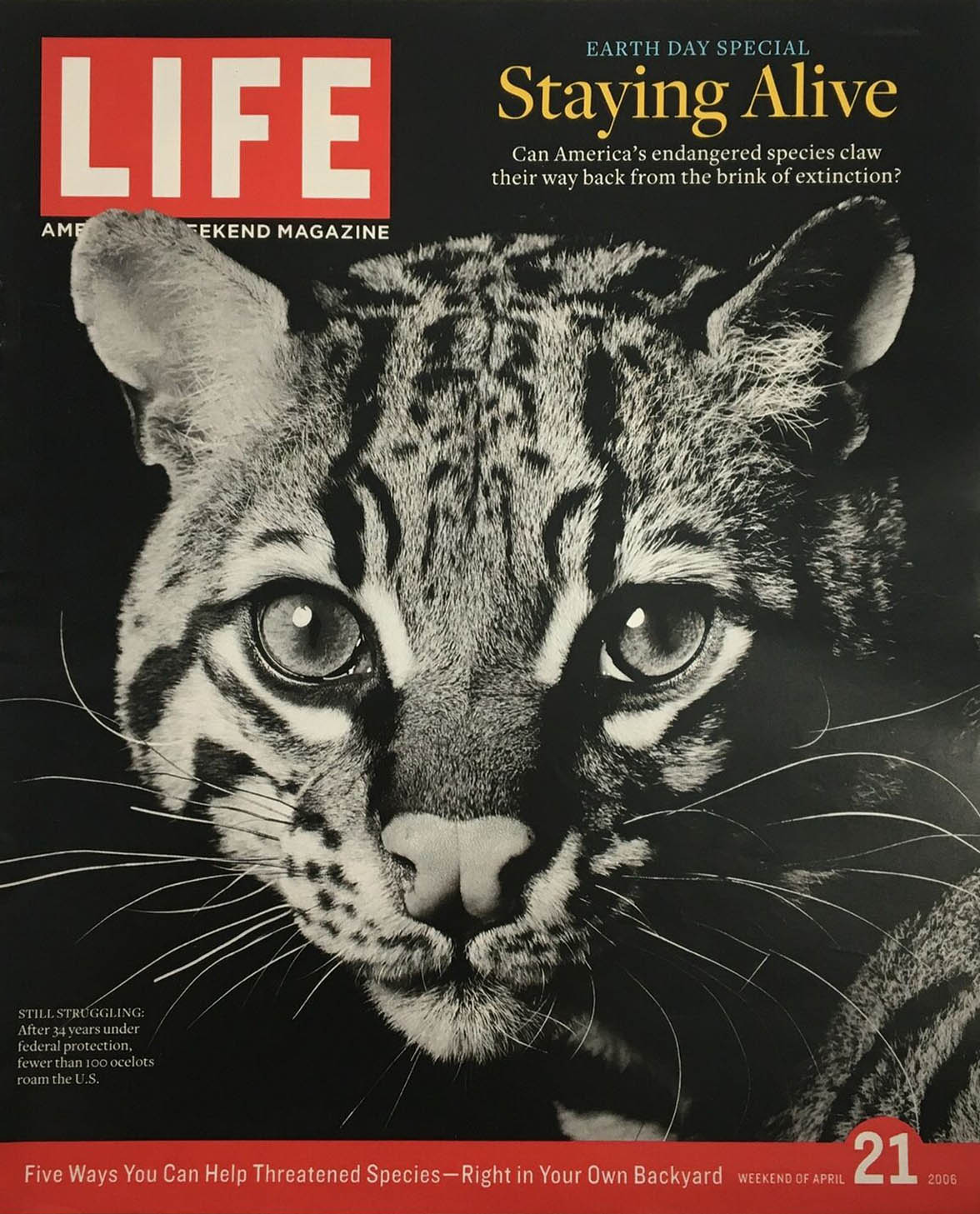 Life April 21, 2006, , Earth Day Special Staying Alive Magazine,