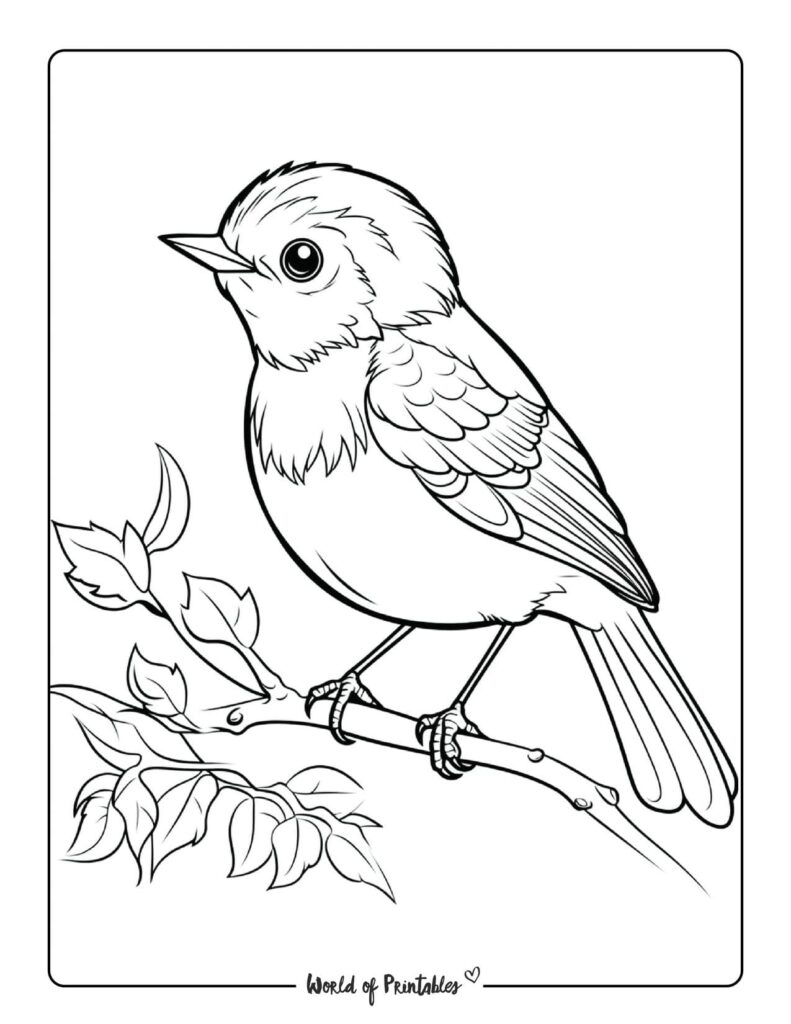 Cute Animal Coloring Pages - World of Printables