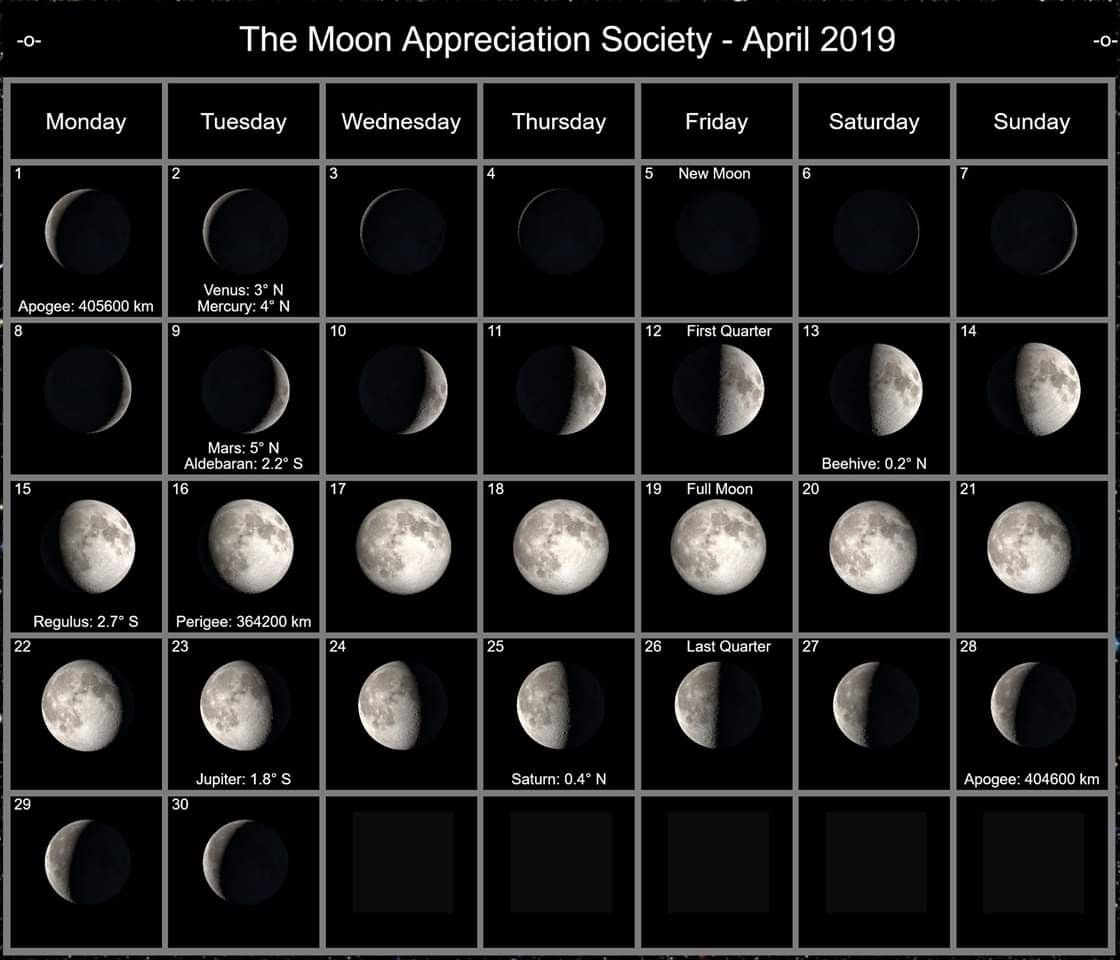 Moon Calendar April 2024 - 2024 Calendar Printable