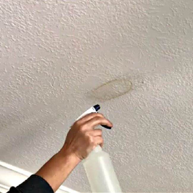 Drop the paint brush, guys. There's an easier way to get rig of ugly water stains. Here's How to Remove Water Stain from Ceiling Without Painting! How to Safely Use Bleach to Remove Brown Water Stains or Water Rings on drywall, plaster, or ceiling tiles..