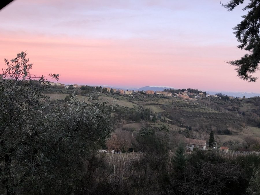 Agriturismo La Volpe e l'Uva Perugia - (Perugia) - Umbria