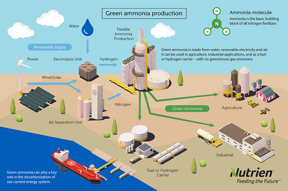 Itochu To Buy And Produce Blue Ammonia Ammonia Energy Association | Hot ...