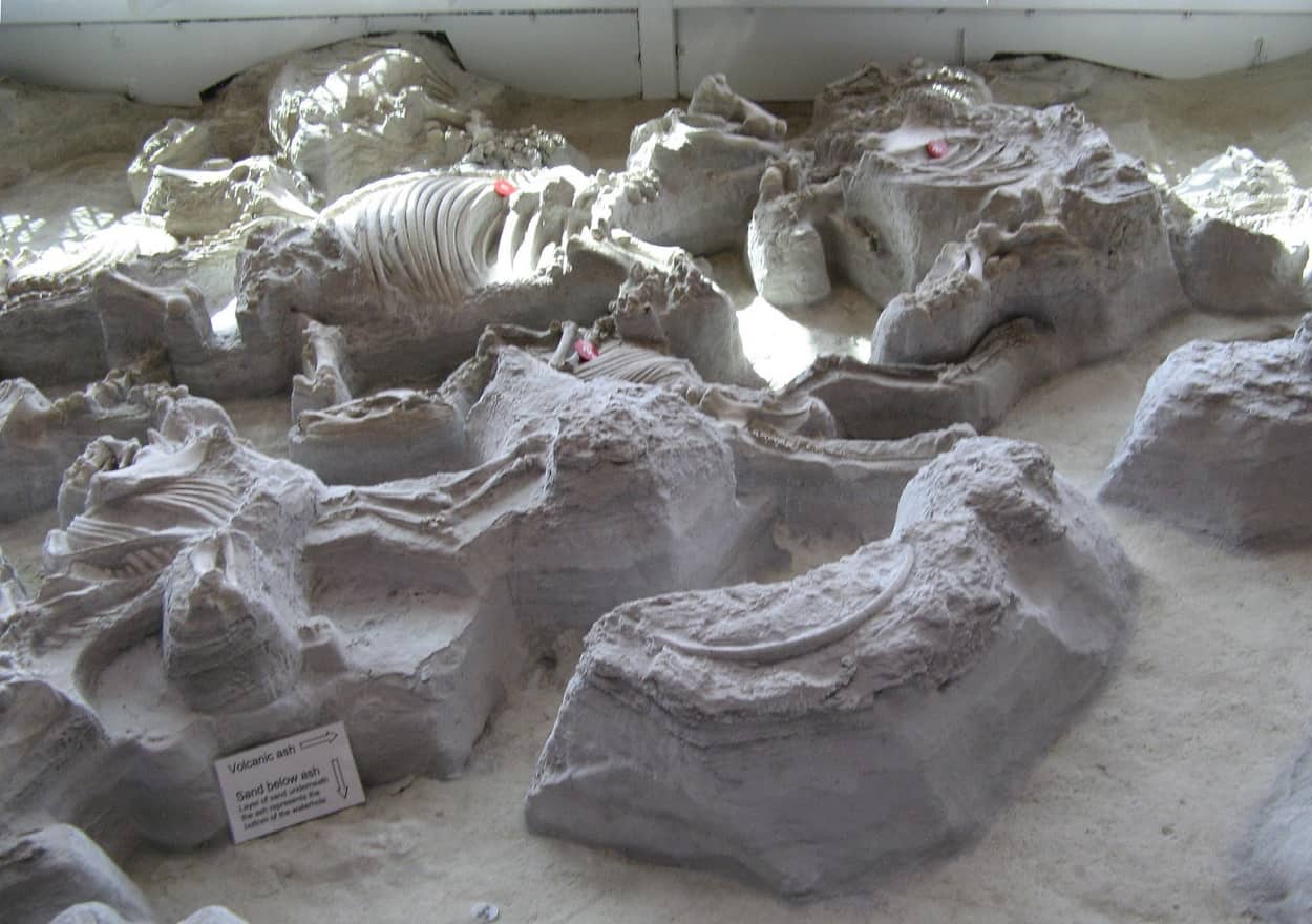 Ashfall Fossil Beds State Historical Park