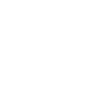 TikTok Icon