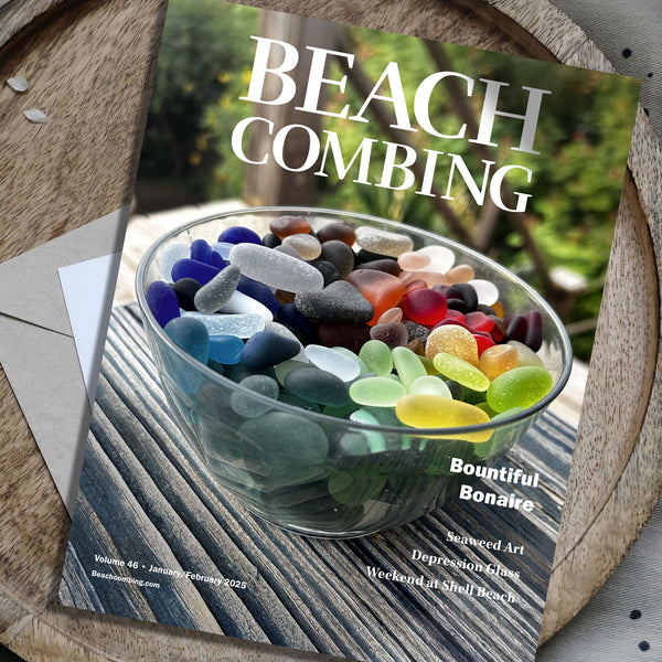 Beachcombing Volume 46: January/February 2025