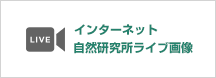 インターネット自然研究所ライブ画像