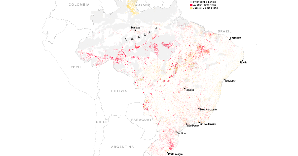 Why The Amazon Rainforest Is On Fire And Why It S Getting Worse