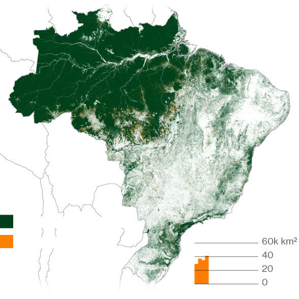 Why The Amazon Rainforest Is On Fire And Why It S Getting Worse