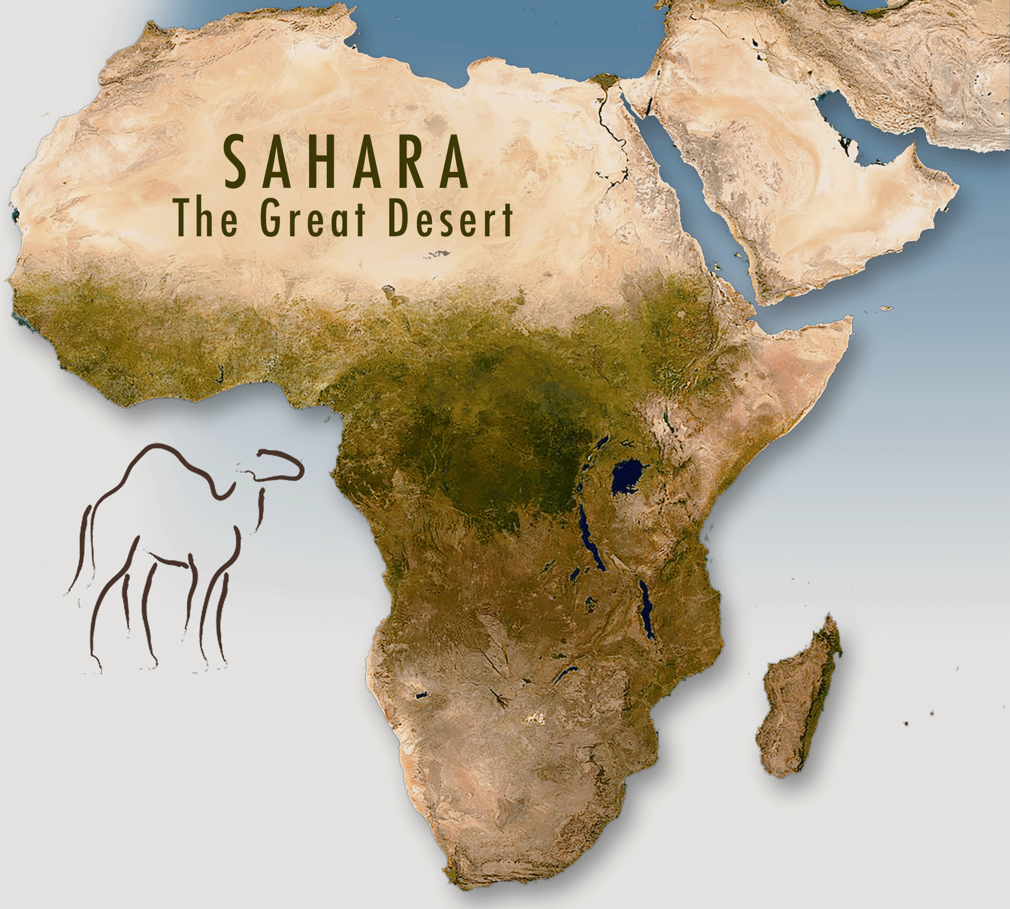 Africa Desert Map