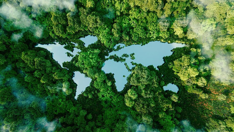 Au milieu de forêts, une étendue d’eau dont les contours dessinent les continents