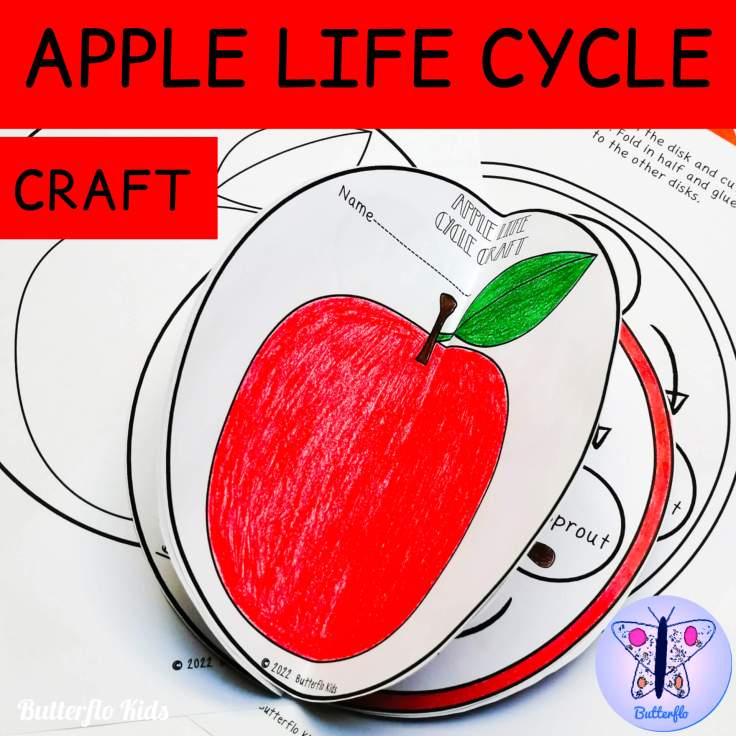 Apple Life Cycle For Kids