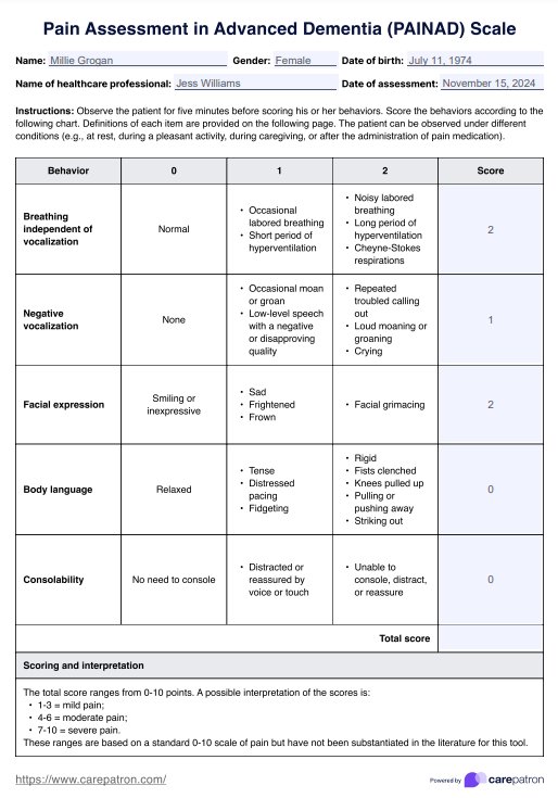 PAINAD Scale PDF Example