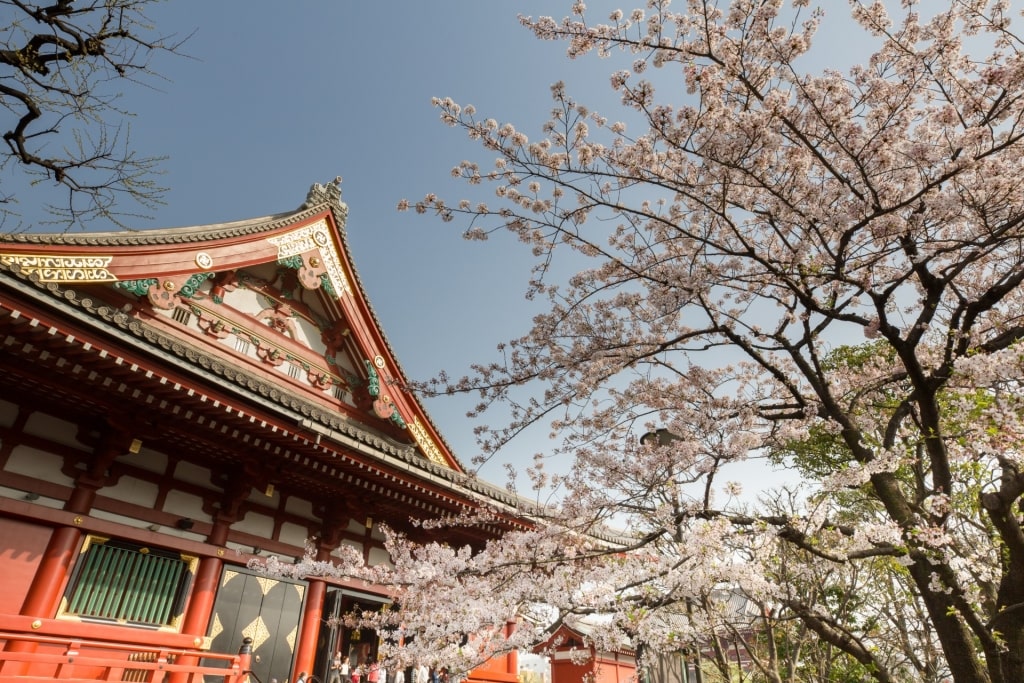 Sensoji Temple in Tokyo, Japan