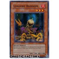 Lonefire Blossom - CP07-EN005 - Super Rare LP