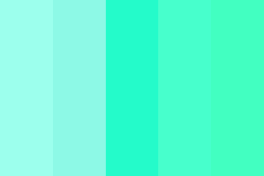 Color Seafoam 5