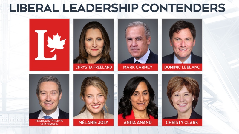 Chrystia Freeland, Mark Carney, Dominic LeBlanc, Francois-Phillipe Champagne, Melanie Joly, Anita Anand, and Christy Clark are seen in this composite image of potential Liberal leadership contenders.