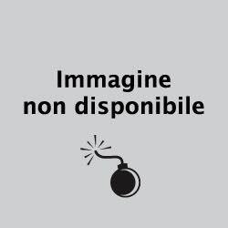 l'insegnante.