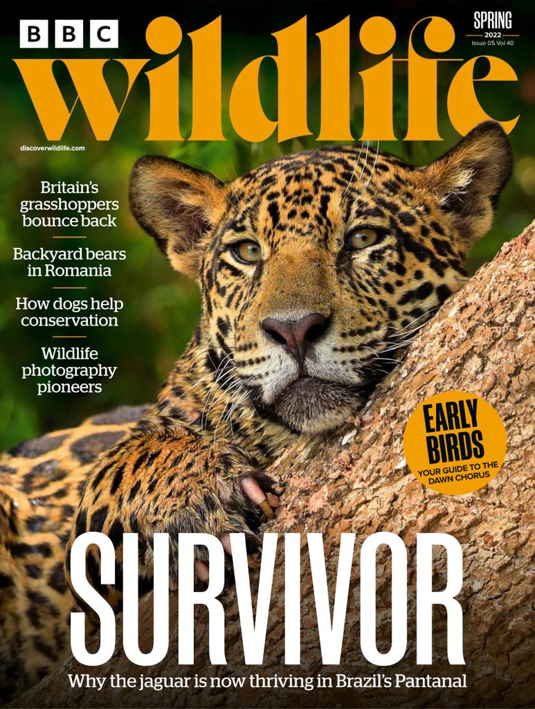 Bbc Wildlife Spring 2022 (Digital) - DiscountMags.com