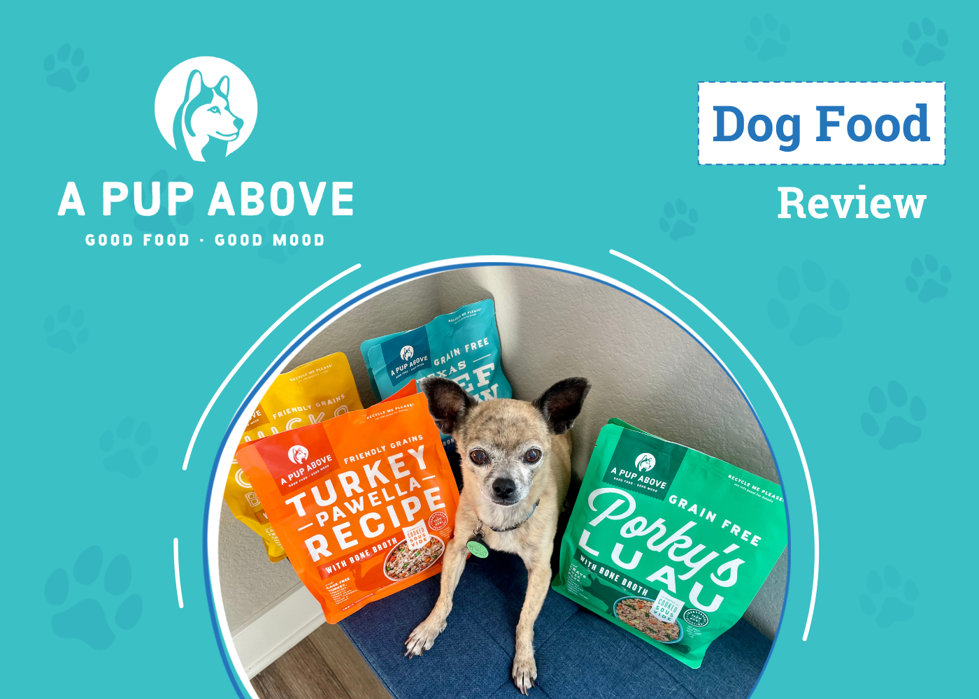 A Pup Above Dog Food Review - featured image