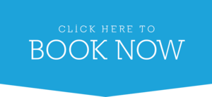 Book Now Button PNG Image PNG Clip art