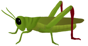 Grasshopper PNG Clipart PNG Clip art