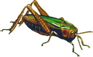 Grasshopper PNG File PNG Clip art