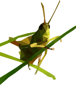 Grasshopper PNG Free Download PNG Clip art