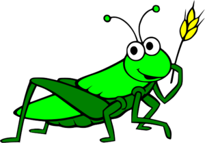 Grasshopper PNG Pic PNG Clip art