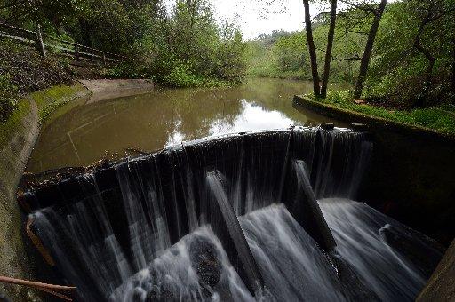 Tilden park’s Jewel Lake sparkles again after rains – East Bay Times