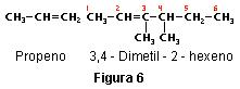 Nomenclatura-6.JPG