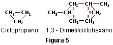 Ciclo alcanos-5.JPG