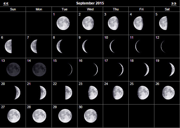 Elk Hunting the Full Moon – Elk101.com | Eat. Sleep. HUNT ELK!