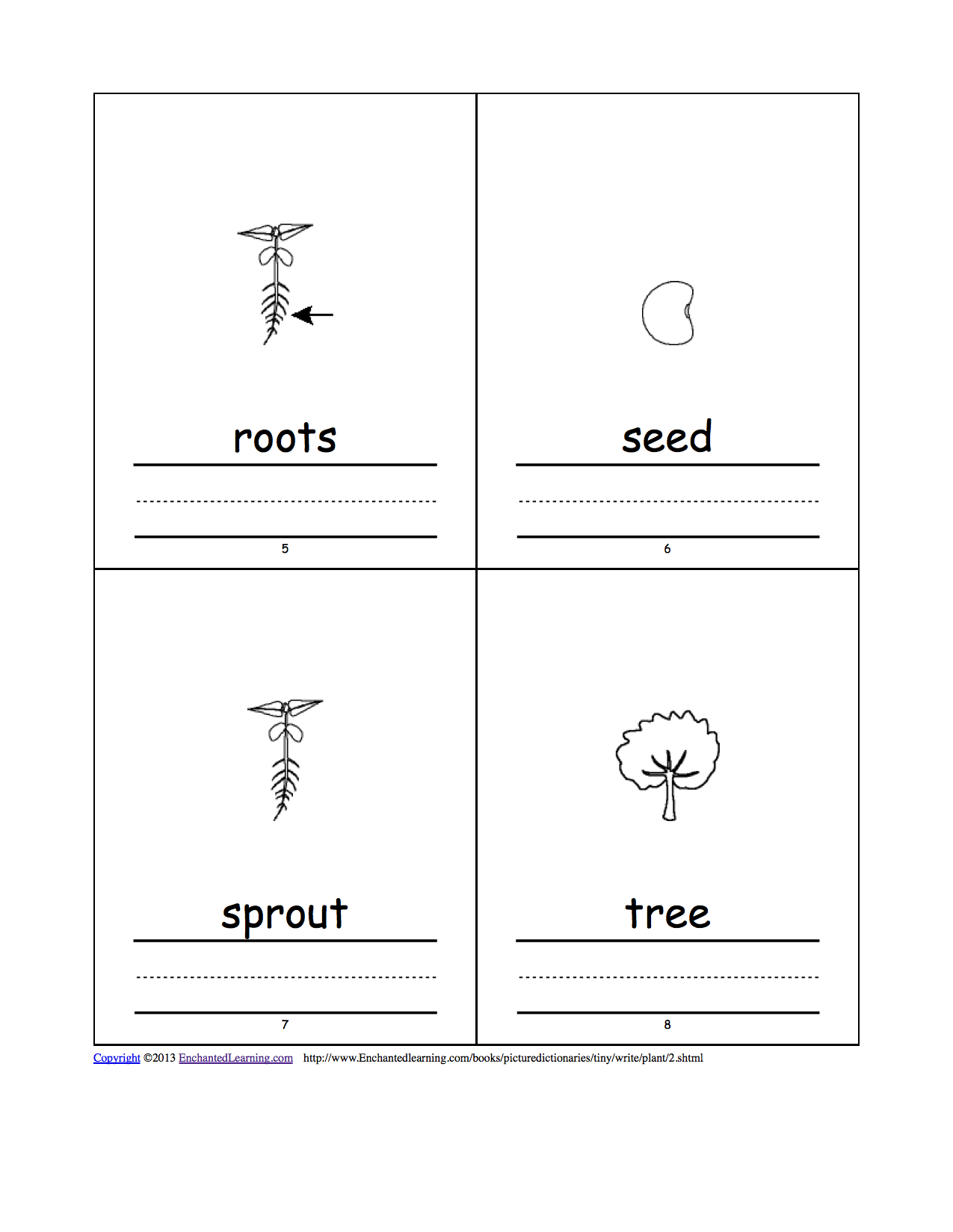 Plant Tiny Picture Dictionary - A Short Book to Print ...