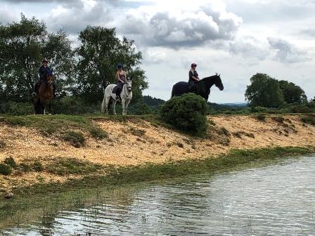 New Forest Family horse riding holiday