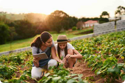 IoT for Kitchen Gardens