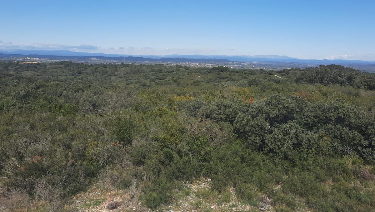 Le cadavre a été découvert par des promeneurs sur l'espace naturel du Clos Gaillard