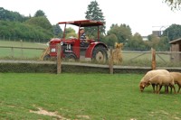 Traktorfahrt am Lochmühlen-Bauernhof - Freizeitpark Lochmühle