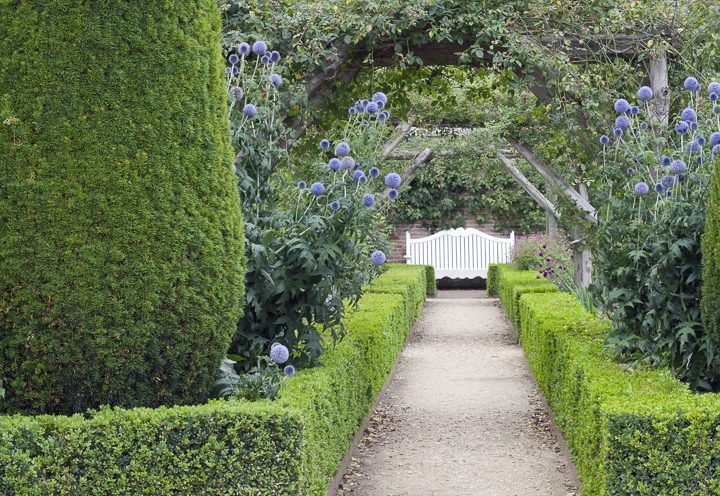 Clipped hedges ©yolfran - stock.adobe.com