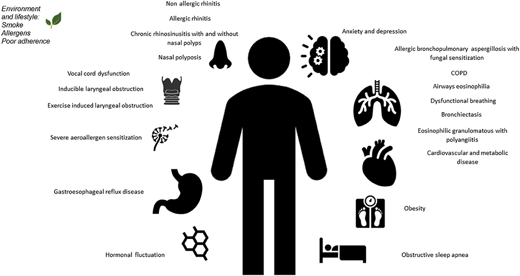 Frontiers | Do not forget asthma comorbidities in pediatric severe asthma!