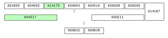 MODULE IMAGE