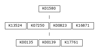 MODULE IMAGE