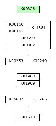 MODULE IMAGE