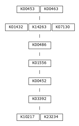 MODULE IMAGE